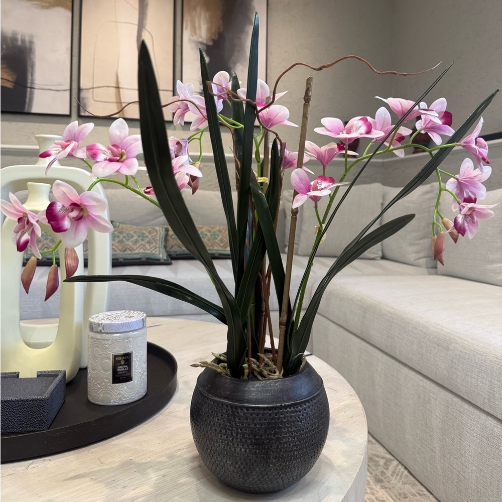 Orchid flower